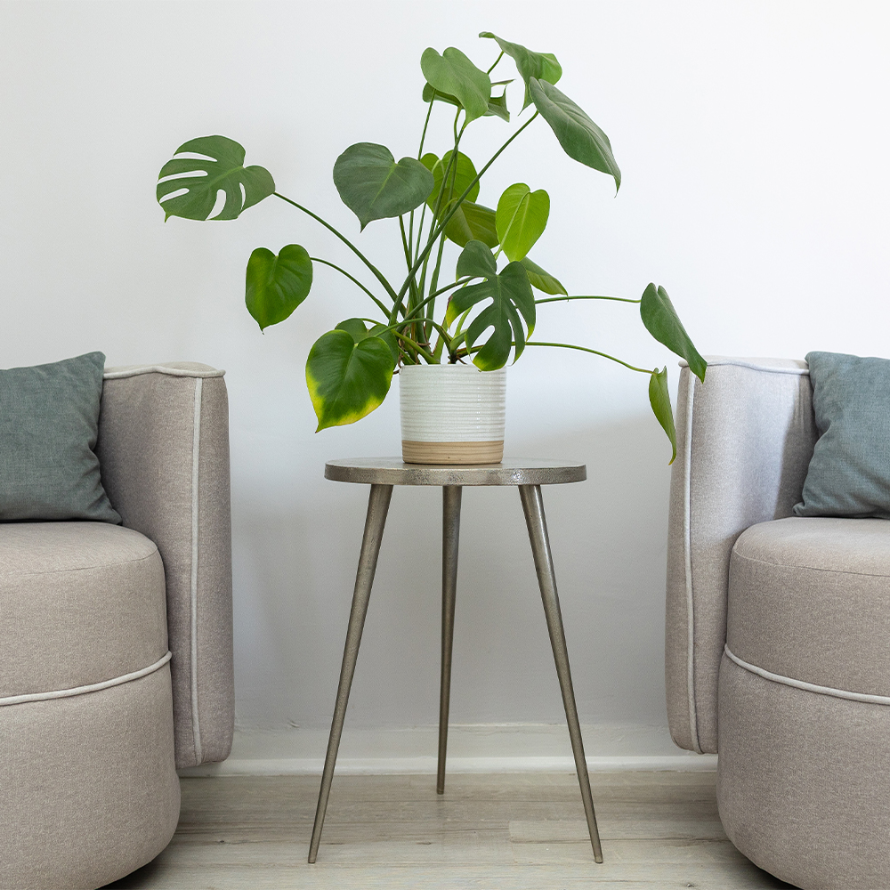 Dr Bontle Medical Aesthetics - Expert Care